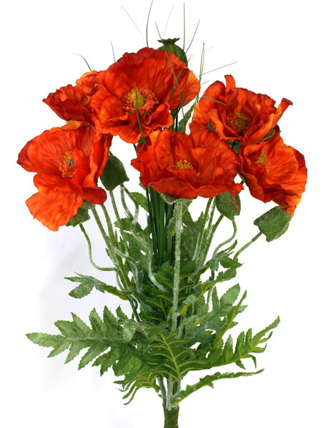 Poppy Bush with Grass - Burnt Orange - Box Lot Deal (4)