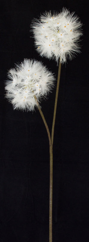 Artificial Dandelion Flower from www.decorflowers.co.nz