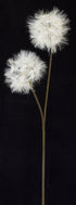 Artificial Dandelion Flower from www.decorflowers.co.nz