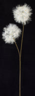 Dandelion Flower from www.decorflowers.co.nz