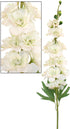 Delphinium - White - Box Lot Deal (6)