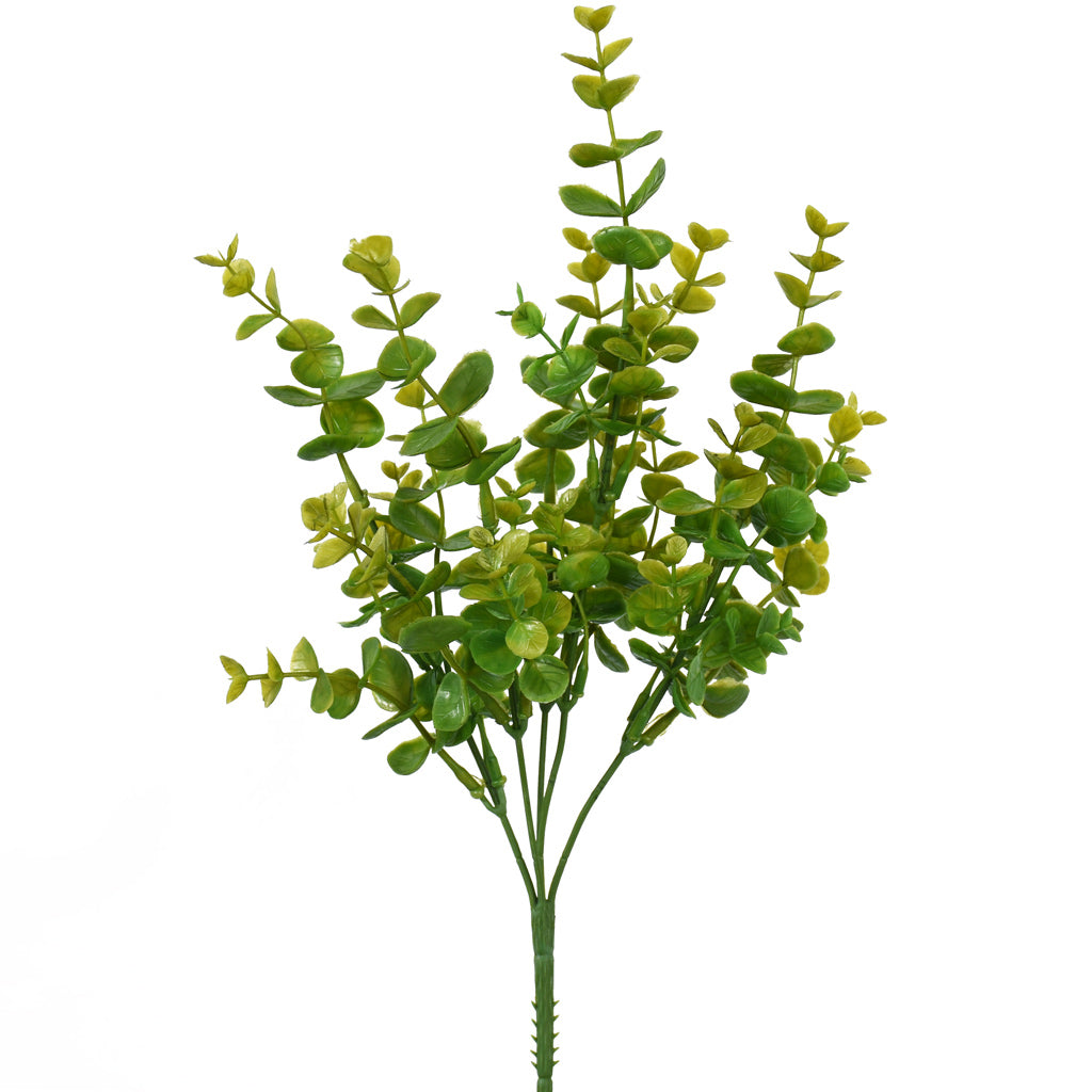 Eucalyptus Bush - Summer Green - Box Lot Deal (6)