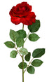 Rose - Chelsea Full Bloom - Valentine's Red ✰✰✰ SPECIAL ✰✰✰