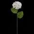 Hydrangea Flower Spray - White