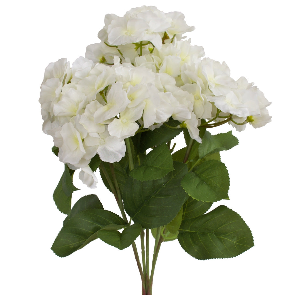 Hydrangea Bunch - Cambridge variety - White
