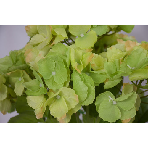 Hydrangea Bunch - Artificial - Cambridge variety - Green