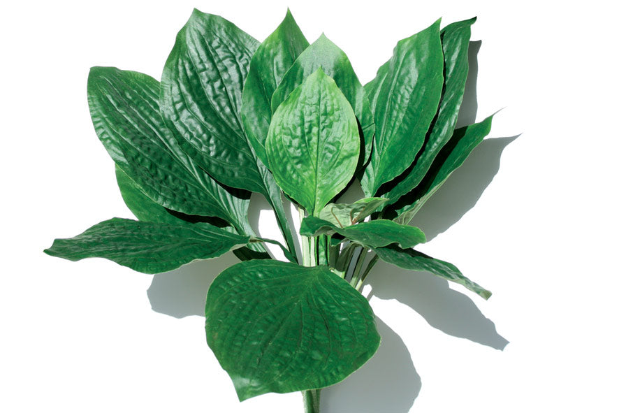Hosta Leaves - Artificial