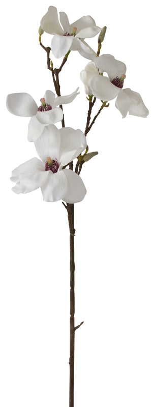 Magnolia - Traditional Southern White