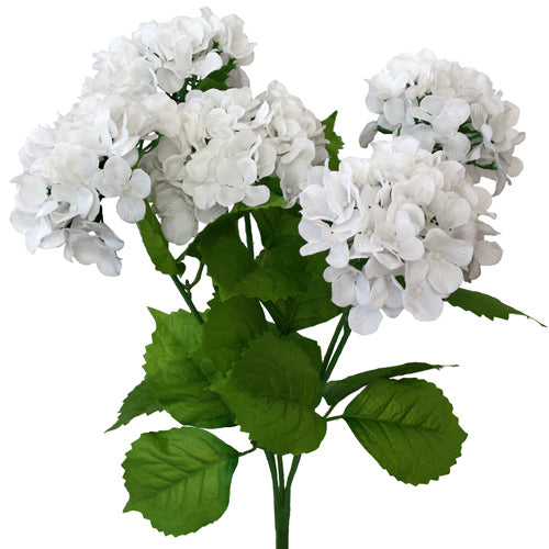 Hydrangea Bush - White