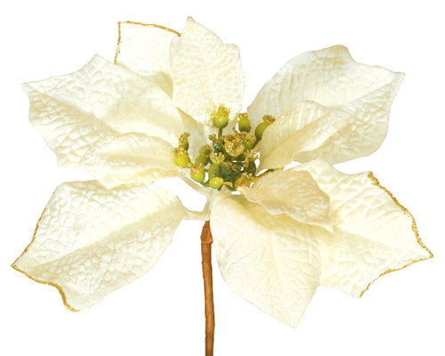 Poinsettia Pick - White - 20cm - Box Lot Deal (12)