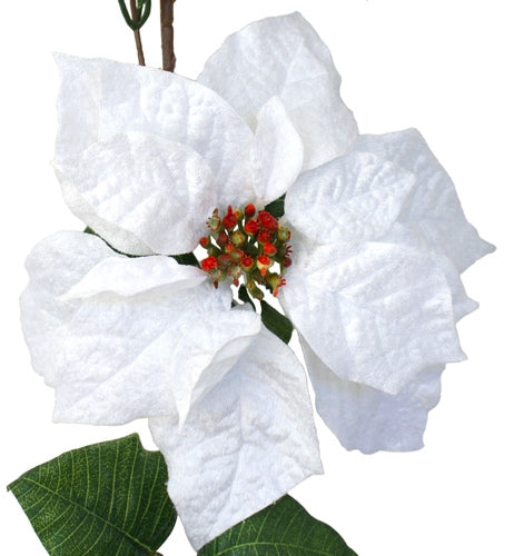 Garland - Poinsettia Flowers - White - 6ft