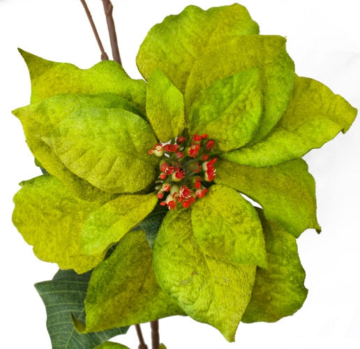 Garlands - Poinsettia Flowers - Christmas Green 6ft - Box Lot Deal (3)