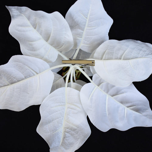 Poinsettia with Clip - White Box Lot Deal (6)