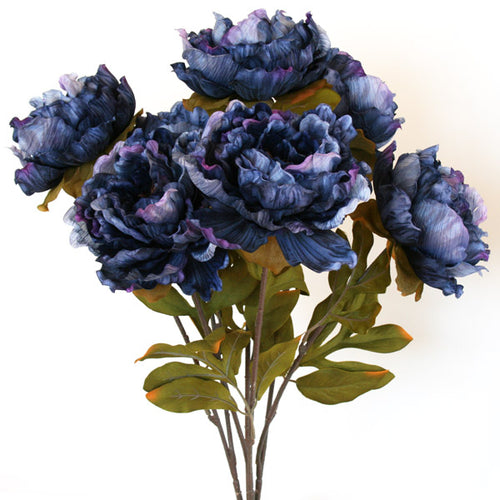 Peony Bunch - Manapouri Blue