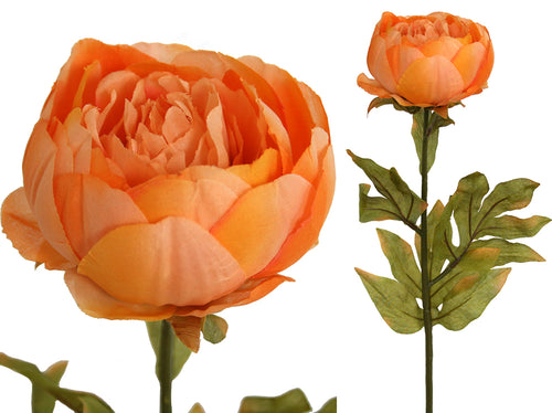 Peony Rose Petticoat - Apricot Box Lot Deal (6) ✰✰✰SPECIAL ✰✰✰