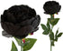Peony Rose Petticoat - Black