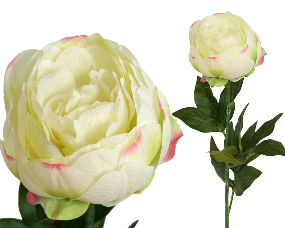 Peony Rose Petticoat - Cream