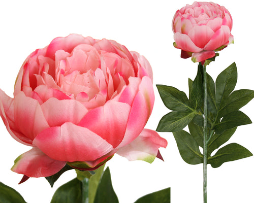 Peony Rose Petticoat - Pink Box Lot Deal (6)