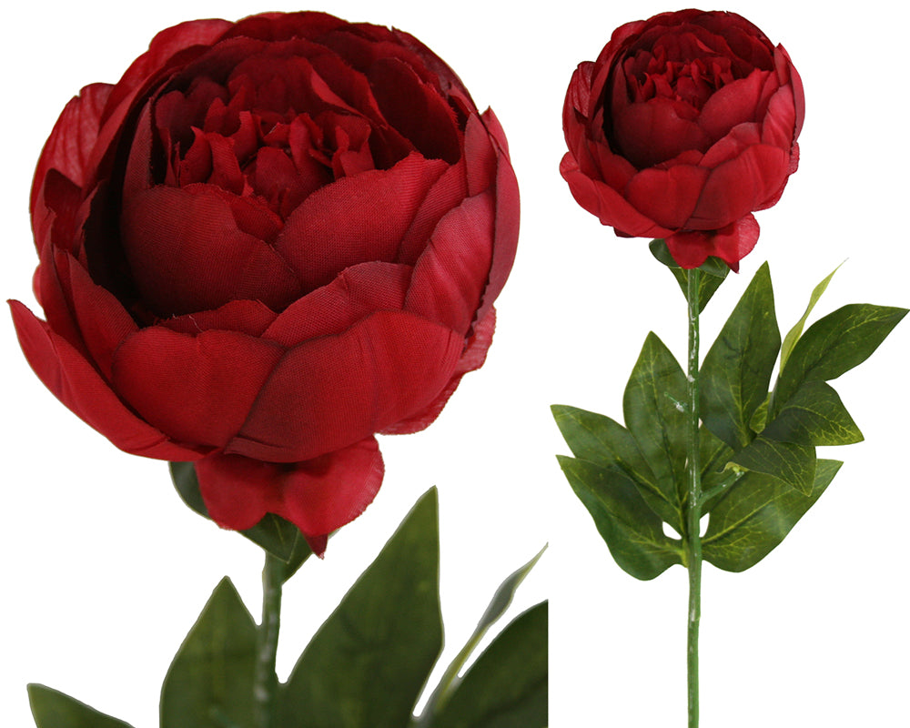 Peony Rose Petticoat - Red Box Lot Deal (6)
