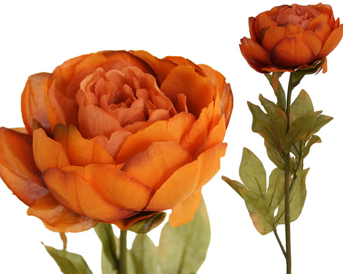 Peony Rose Petticoat - Burnt Orange Box Lot Deal (6)
