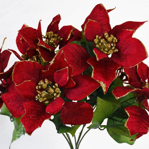 Poinsettia Bush, Large - Red with Gold Trim