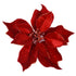 Poinsettia - Velvet Red