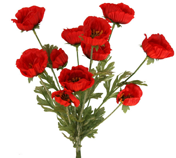 ANZAC Poppy Bush - Red