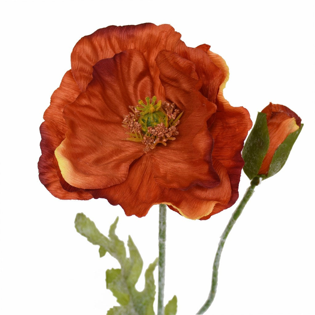 Poppy Spray - Burnt Orange