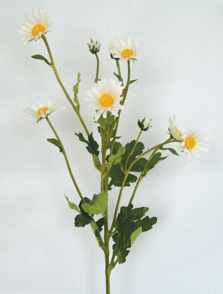 www.decorflowers.co.nz - Artificial Daisy flower