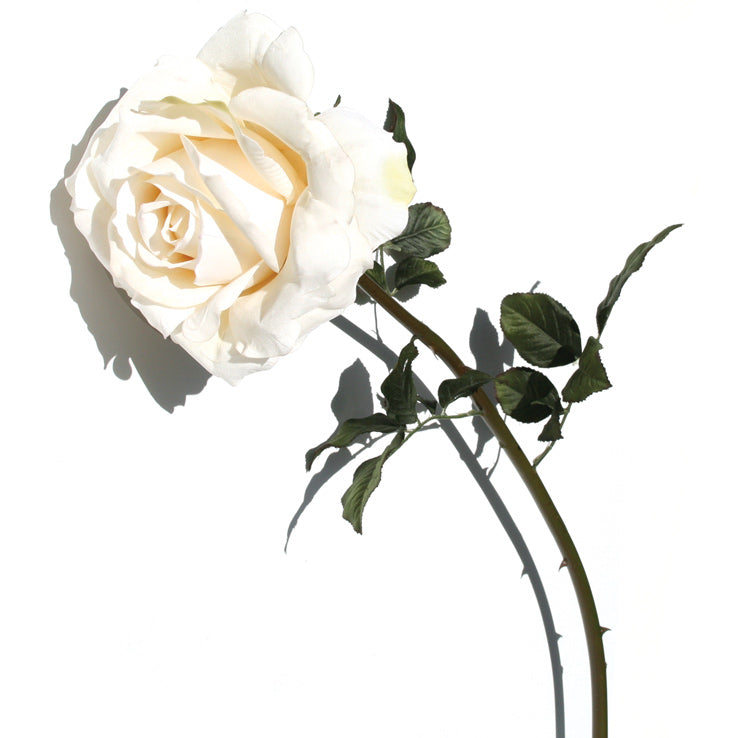 White Velvet Rose from www.decorflowers.co.nz