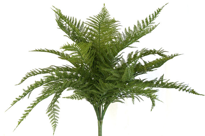 Fern - Artificial - NZ Hen and Chicken Fern ✰✰✰ HALF PRICE SPECIAL ✰✰✰