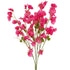 Sweet Pea Flowers - Pink Siouxsie - Box Lot Deal (4)
