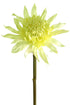 White tropical flower from www.decorflowers.co.nz