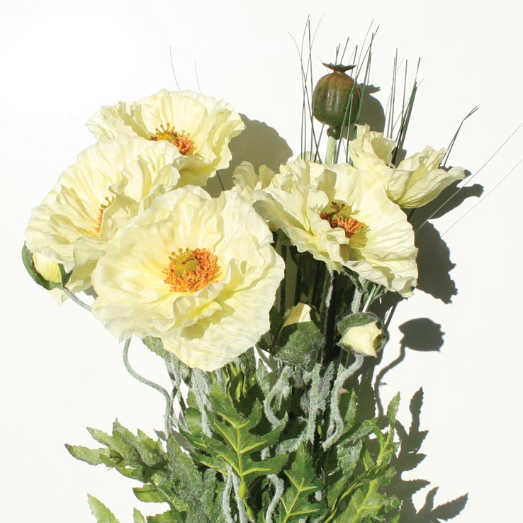 Poppy Bush with Grass - Cream - Box Lot Deal (4)