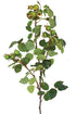 Rosehip Spray - Green - Box Lot Deal (4)