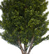 Artificial formal cone shaped topiary from www.decorflowers.co.nz