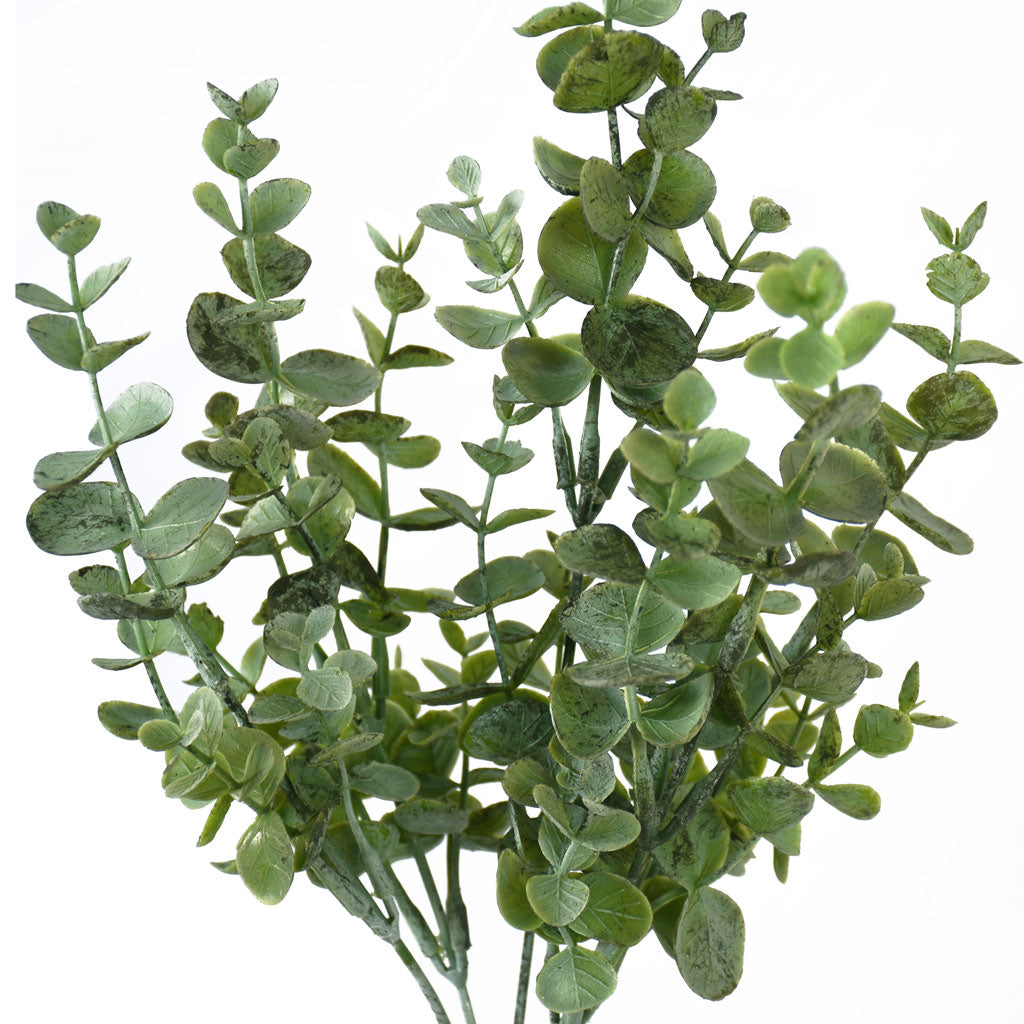 Eucalyptus filler for flower arrangements from Decorflowers.co.nz