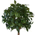 Bay Tree from Decorflowers.co.nz