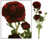 Artificial Ranunculas Burgundy from www.decorflowers.co.nz