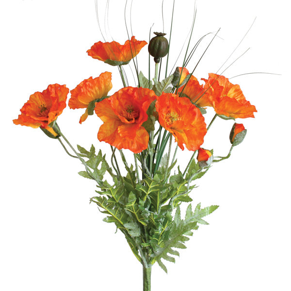 Poppy Bush with Grass - Orange