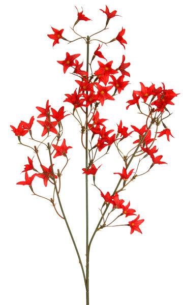 Star Flower Spray - Cardinal Red - Box Lot Deal (6)
