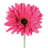 Gerbera - Hot Pink