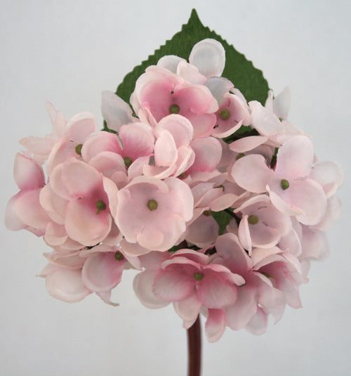 Hydrangea Pick - Pink Cream ✰✰✰ SPECIAL ✰✰✰