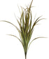 Grass, Prairie - Long Green