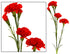 Carnation Spray - Red