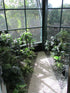 Garden Setting #2 - Example - PRICE ON APPLICATION