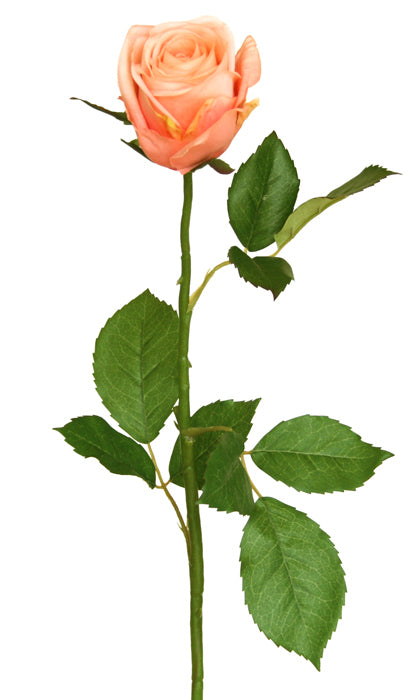 Artificial Rose - Somerset - Half Bloom - Box Lot Deal (6)