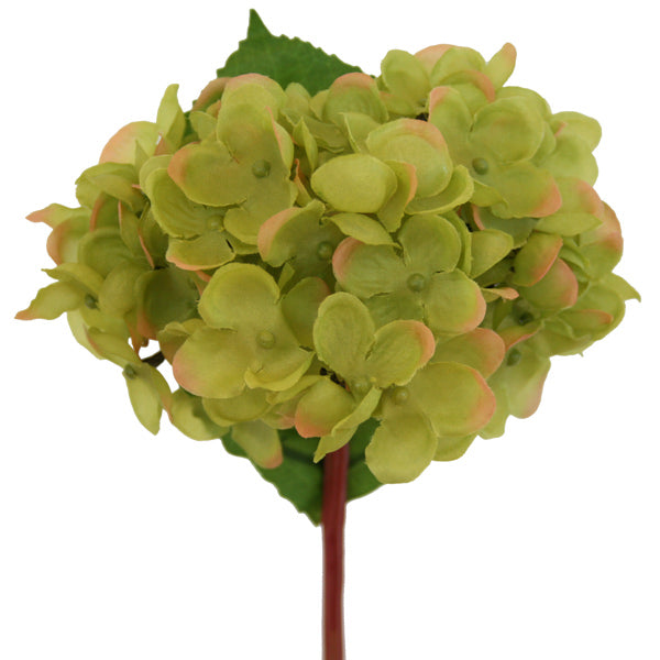 Hydrangea Pick - Lime Green ✰✰✰ HALF PRICE SPECIAL ✰✰✰